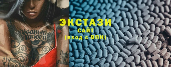 сатива Няндома