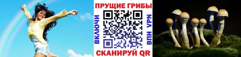 Галлюциногенные грибы MAGIC MUSHROOMS  Арамиль 