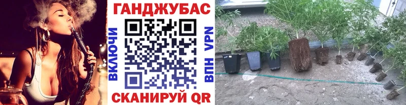 Бошки Шишки VHQ  где купить наркоту  Арамиль 